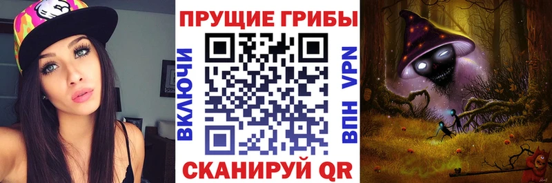 даркнет формула Корсаков Галлюциногенные грибы прущие грибы